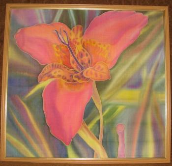 Panel "Tigridia peacock"