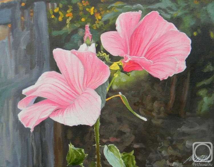 ������� ������ �� ������. ������� ��������. ��������