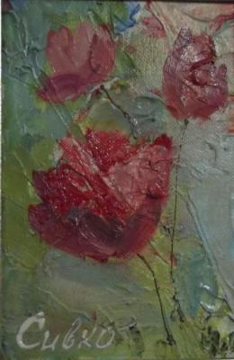 ������� ���� ���������