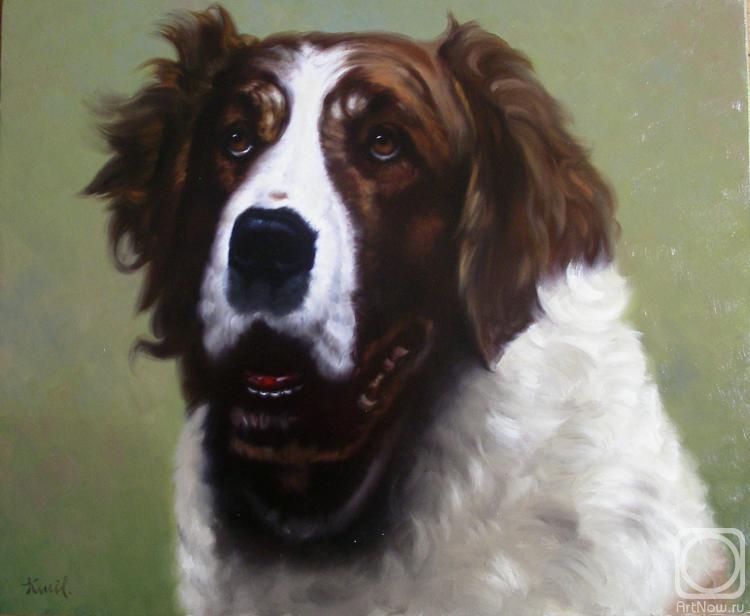 Beysheev Kemel. Portrait of a dog