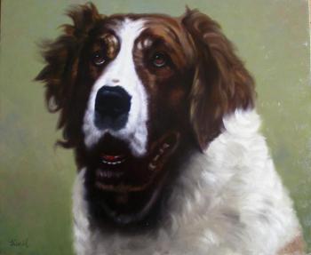 Portrait of a dog (Similarity). Beysheev Kemel