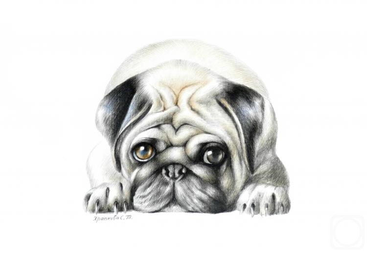 �������. �������� ��������. ����