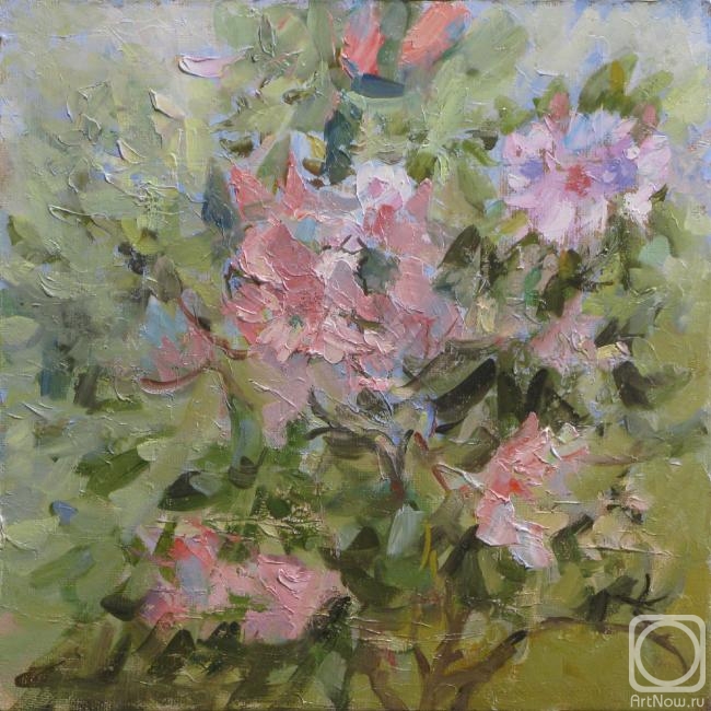 ������� ������ �� ������. ������� ��������. ������