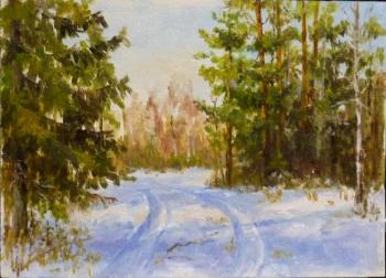 The road to the cottage on the bright day of December. Shatalov Sergey