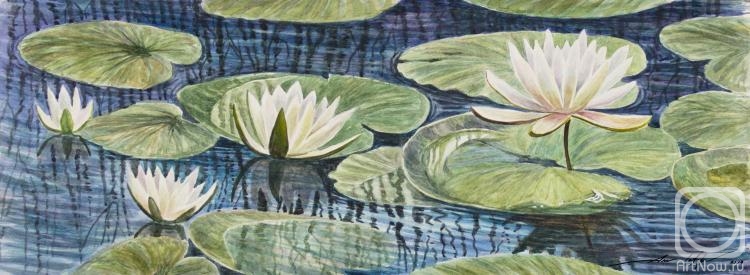 Latipov Amir. Water lilies