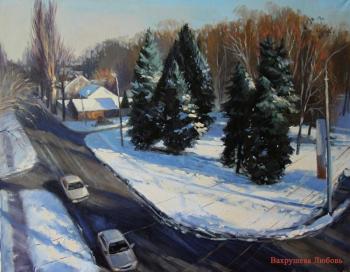 Christmas trees on ul.Sholohova Rostov-on-Don. Bychenko Lyubov