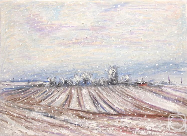 Rakhmatulin Roman. Field under the snow