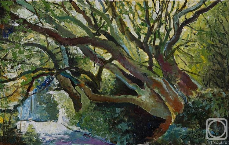 ������� ������ �� ������. ������� ������. ������ ���� � ������������ ����