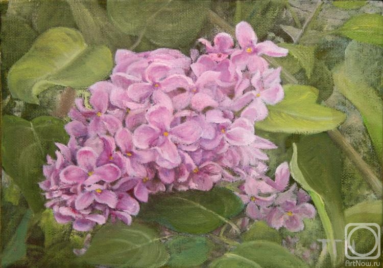 �������. ���������-������������ ������. ��������� �������