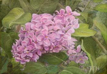 Lilac sprig
