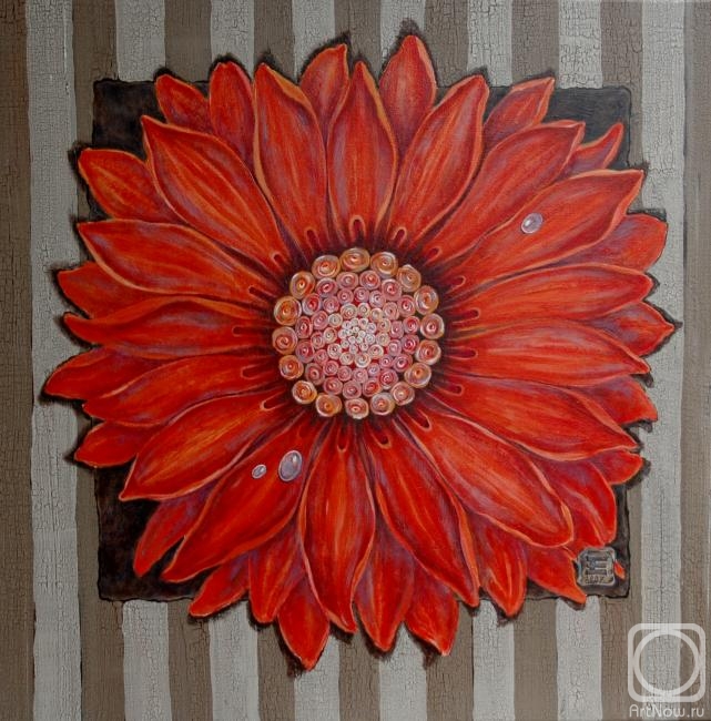 �������. �������� ���������. ������ ������ ����