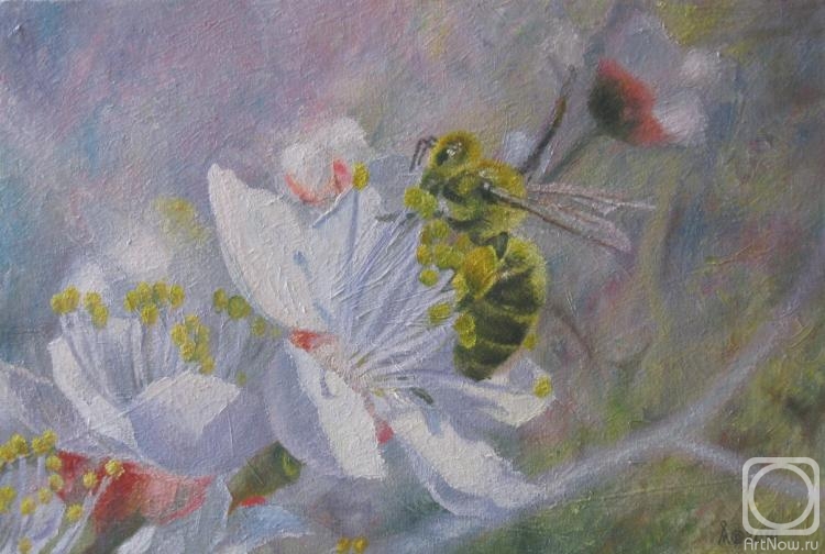 ������� ������ �� ������. ������ �������. ��������