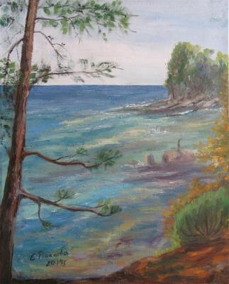 Thassos. Turquoise bay