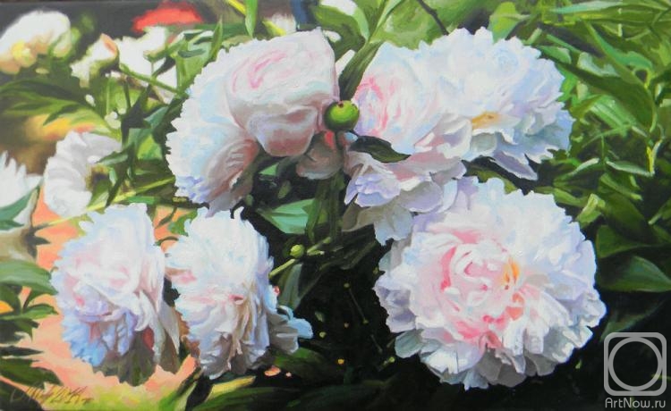 ������� ������ �� ������. ������� ��������. �����