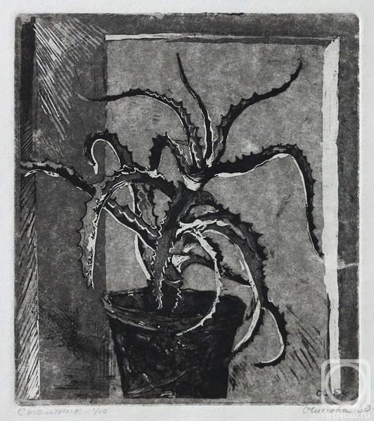 �������. ������� �����. ���������