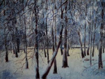 The winter in park. Ivanova Olga