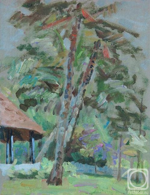 �������. ����� �����. ������ ��������