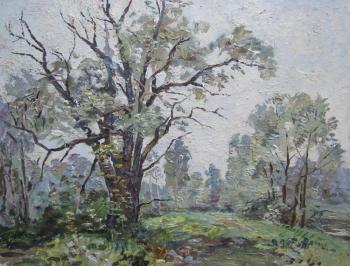 Old willows over the Yauza. Bikashov Dimitrii