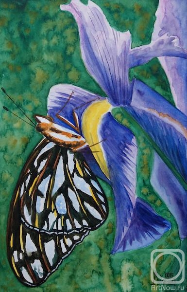 Lukaneva Larissa. The Butterfly on Iris