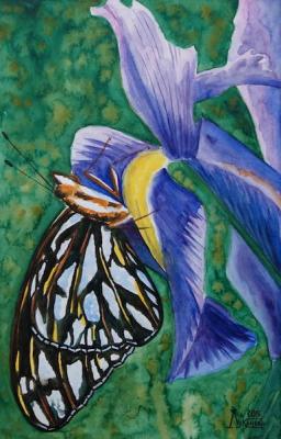 The Butterfly on Iris. Lukaneva Larissa