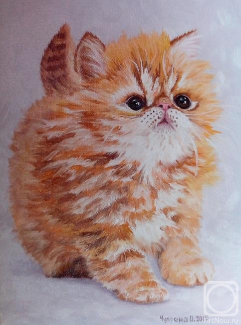 Chuprina Irina. Kitten named Apricot