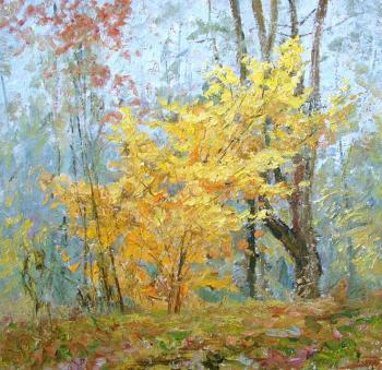 ������� �� ������� ����