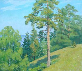 A pine slope. Panov Igor