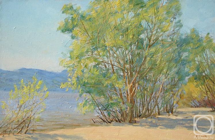 Panov Igor. Coastal willows
