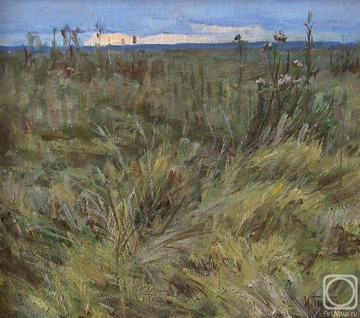 Panov Igor. A steppe grass