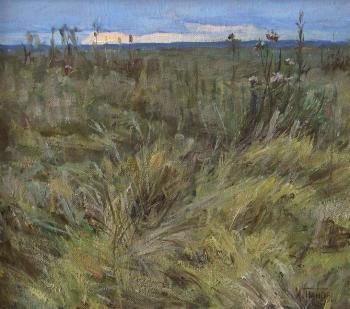 A steppe grass