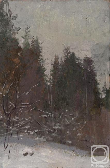 Dolgaya Olga. Winter Forest