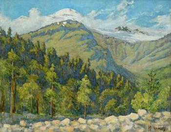 The Caucasian landscape with a kind to Elbrus. Panov Igor