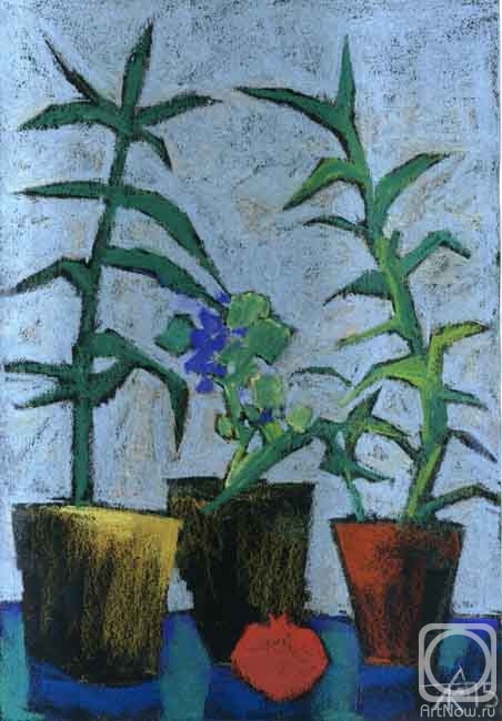 Knecht Aleksander. Untitled