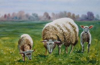 The Sheep. Lukaneva Larissa