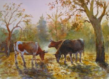 ������� �������� �����