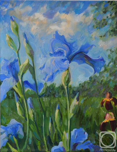 Zhukovskaya Yuliya. Untitled