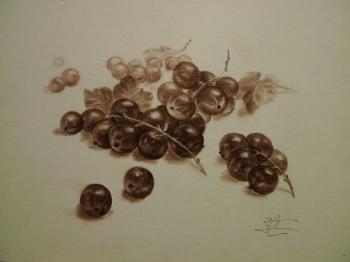 ������� �����������