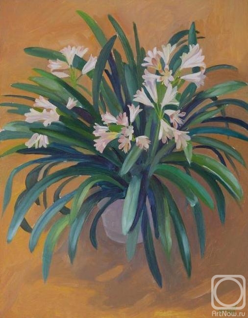 �������. ���������� �����. ������ (����)