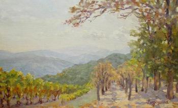 Vineyards of Serbia. Vedeshina Zinaida
