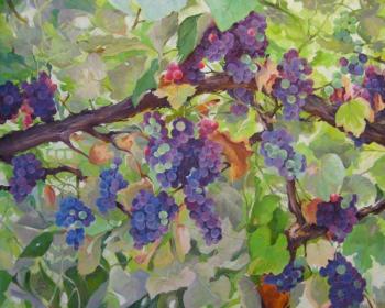 In the shadow of grapes. Vedeshina Zinaida
