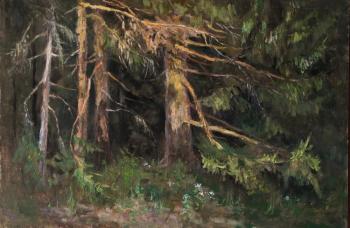 ������� ������ �������������