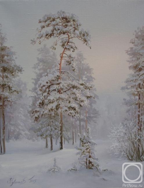 Chuvashev Oleg. Snow-covered forest