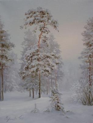 Snow-covered forest. Chuvashev Oleg