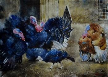 The turkey-cocks. Ivanova Olga