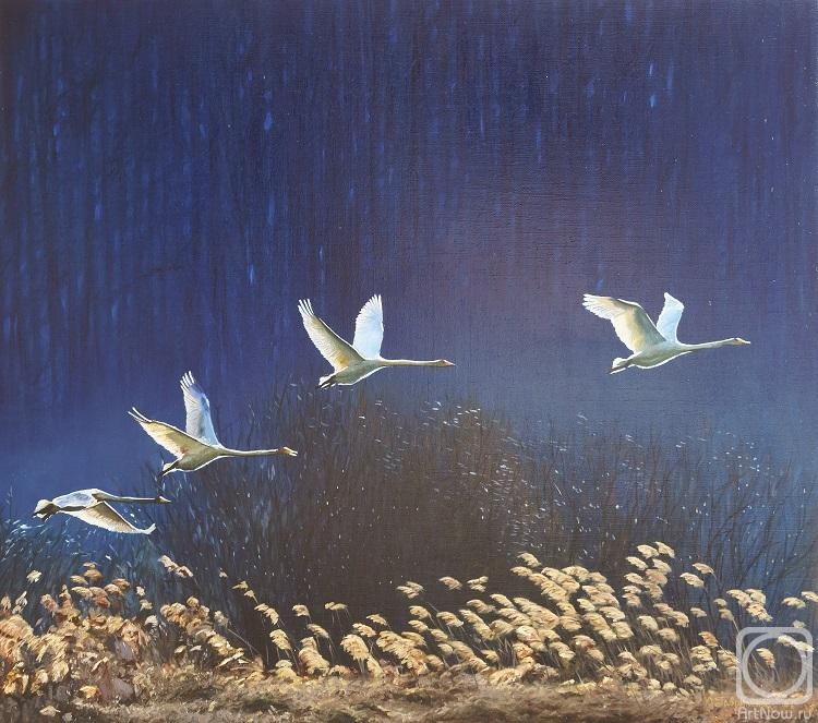 ������� ������ �� ������. ��������� ����. ��������� ����