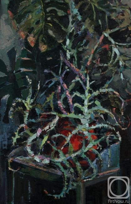 ������� ������ �� ������. ������� �������. ������ ���� ���������