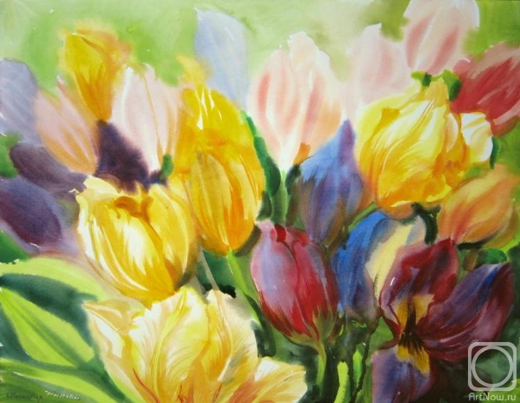 �������. ���������� ���������. ��������� ��������