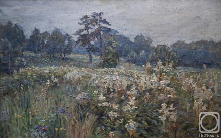Bikashov Dimitrii. Chertanovka Valley in Uzkoe Park. Flowering meadowsweet