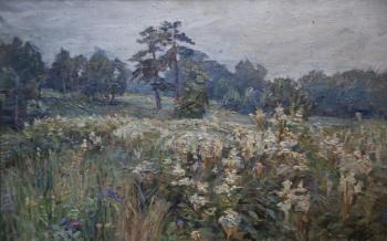 Chertanovka Valley in Uzkoe Park. Flowering meadowsweet (Flowering Valley). Bikashov Dimitrii