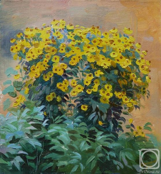 �������. ���������� �����. Ƹ���� ������ (����)